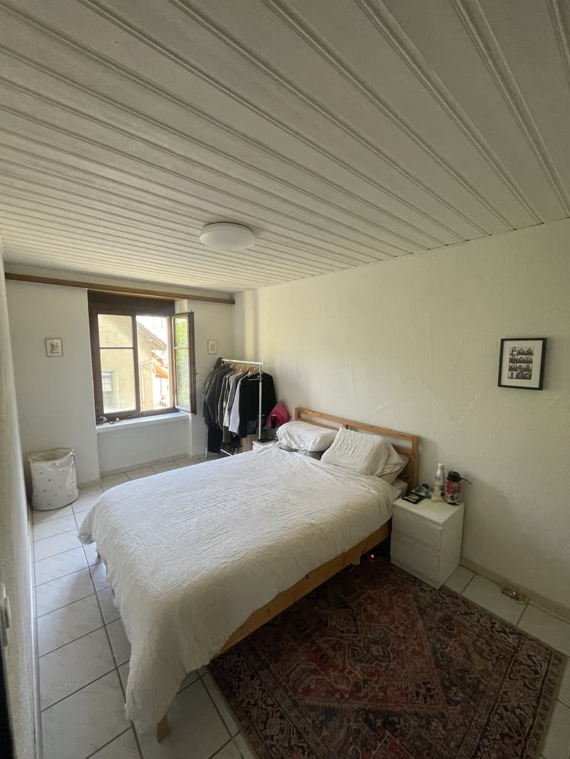 2 ½ rooms apartment, 8005 Zurich (5)