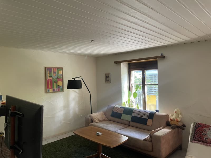 2 ½ rooms apartment, 8005 Zurich (3)