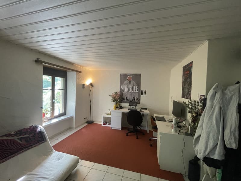 2 ½ rooms apartment, 8005 Zurich (4)