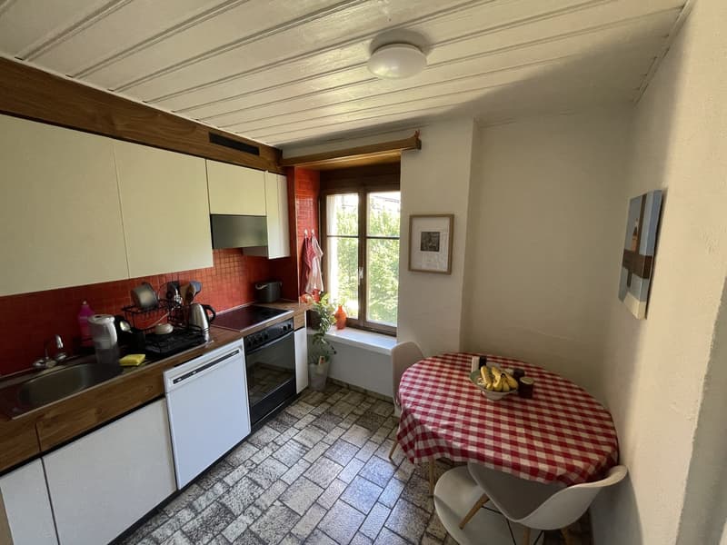 2 ½ rooms apartment, 8005 Zurich (7)