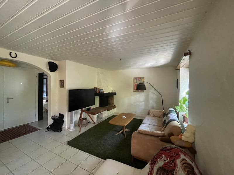 2 ½ rooms apartment, 8005 Zurich (2)