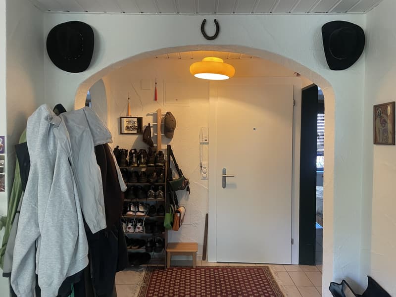 2 ½ rooms apartment, 8005 Zurich (11)