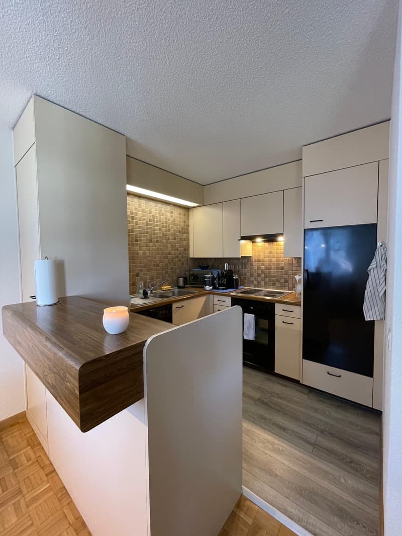 Practical apartment with good room layout and large balcony (4)