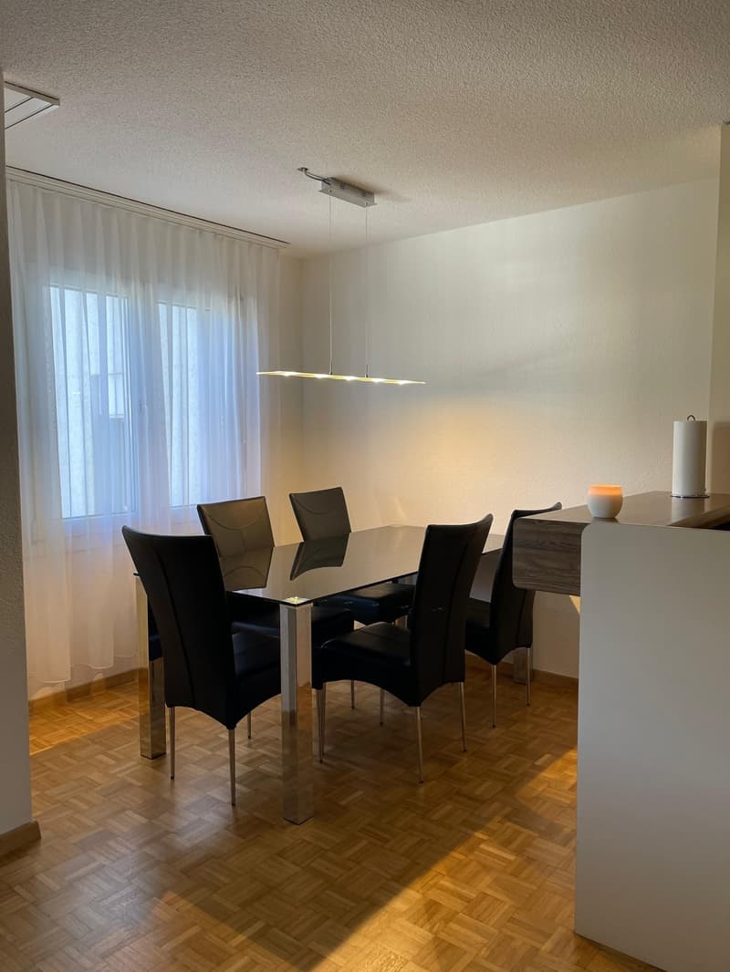 Practical apartment with good room layout and large balcony (6)