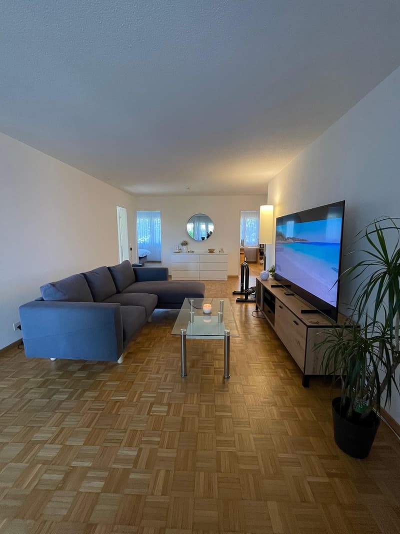 Practical apartment with good room layout and large balcony (1)