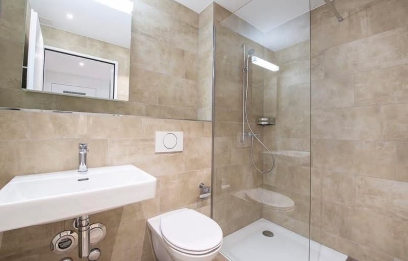 4.5-Room Maisonette Apartment (2)