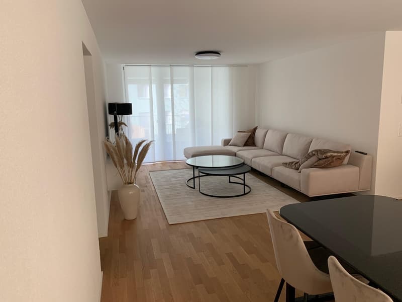 Appartamento attraente di 3,5 locali in standard da proprietario, vicino al castello di Lenzburg (4)