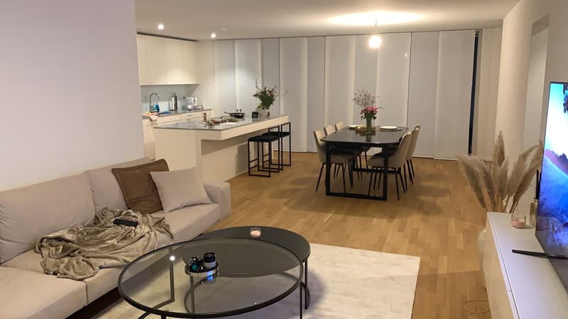 Appartamento attraente di 3,5 locali in standard da proprietario, vicino al castello di Lenzburg (1)