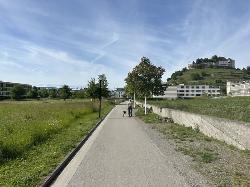 Appartamento attraente di 3,5 locali in standard da proprietario, vicino al castello di Lenzburg (8)