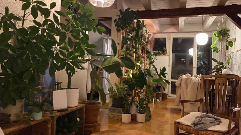 Appartement de charme 2,5 pièces sous les toits avec terrasse et vue sur le lac en sous-location (15 juillet - min. 12 août) (1)