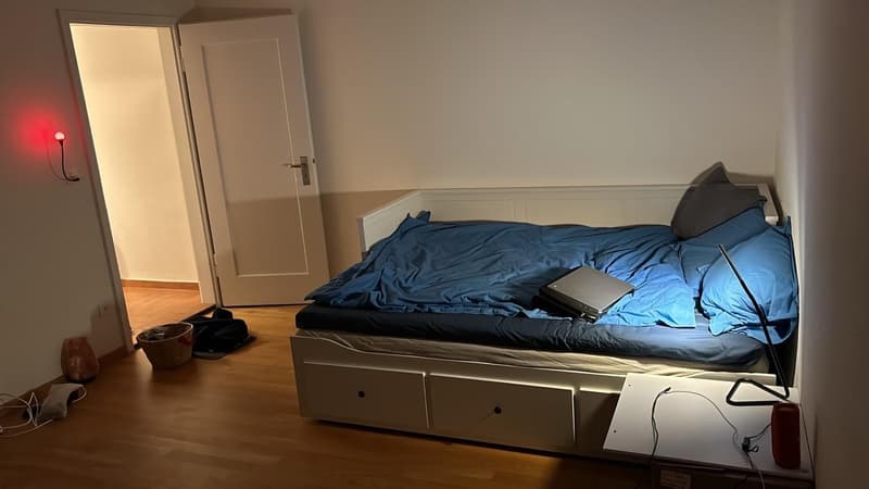 Helle Wohnung zur Zwischenmiete in Zürich Oerlikon (7)