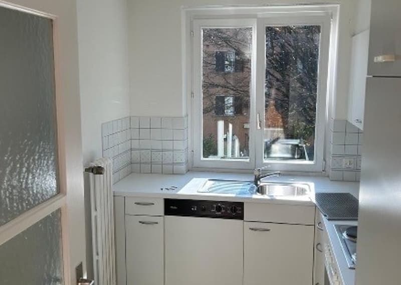 Helle Wohnung zur Zwischenmiete in Zürich Oerlikon (3)