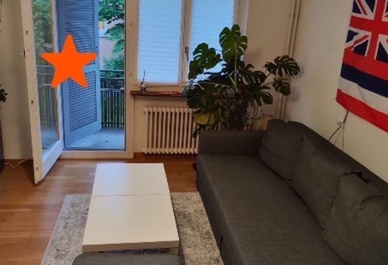 Helle Wohnung zur Zwischenmiete in Zürich Oerlikon (1)