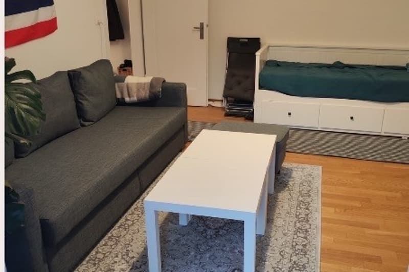 Helle Wohnung zur Zwischenmiete in Zürich Oerlikon (5)