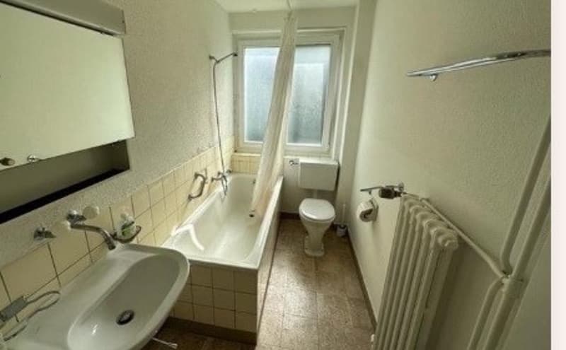 Helle Wohnung zur Zwischenmiete in Zürich Oerlikon (2)