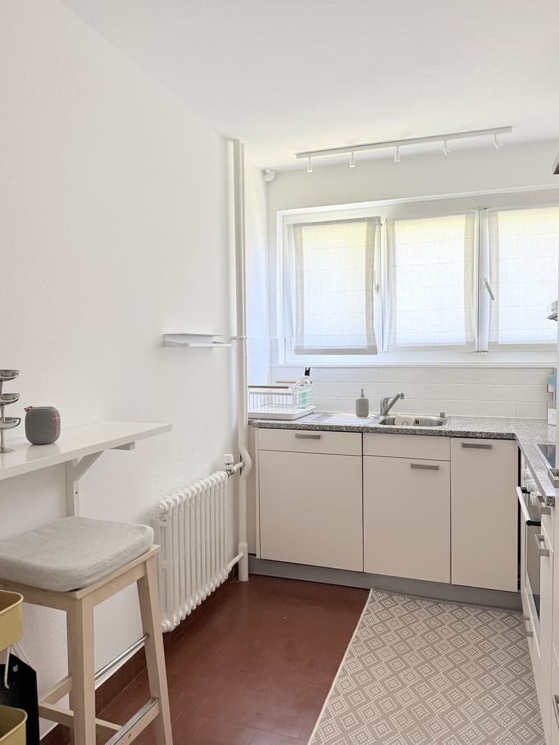 Appartamento con terrazza !Temporaneo! (8)