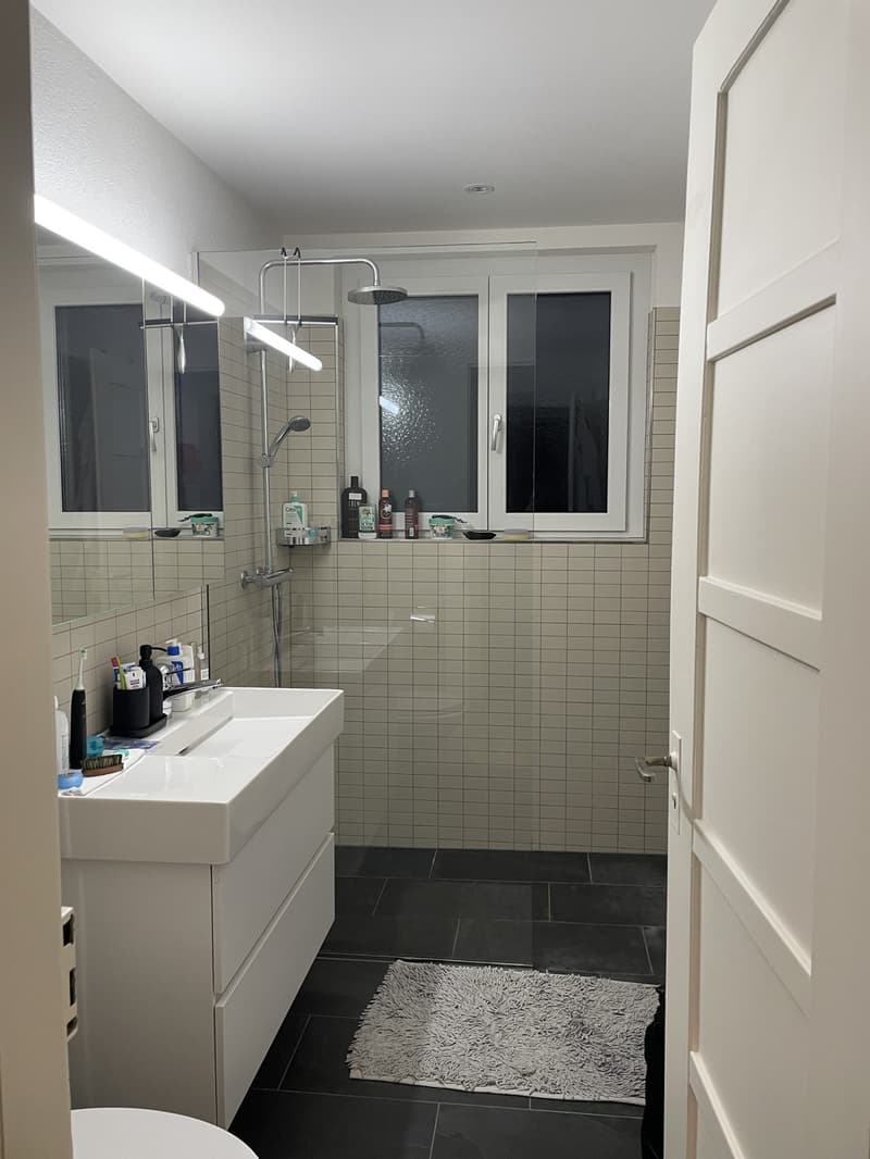 Appartement à louer dans le centre-ville de Zurich, entièrement meublé (4)