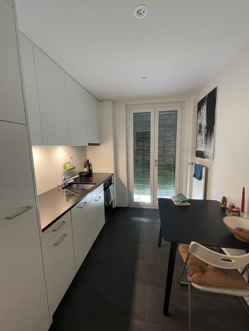 Appartement à louer dans le centre-ville de Zurich, entièrement meublé (3)