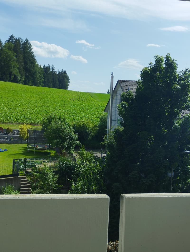 Aussicht ins Grüne