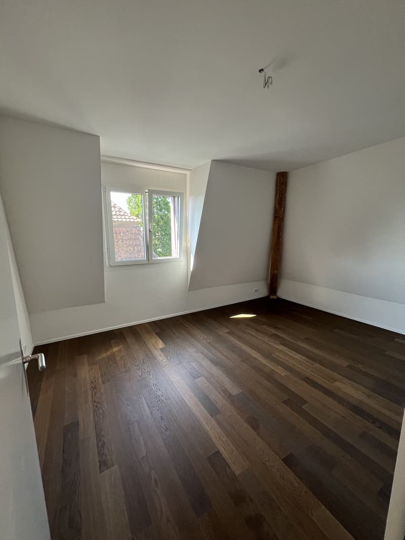 WG-Zimmer in wunderschöner Wohnung im Kreis 6 (1)