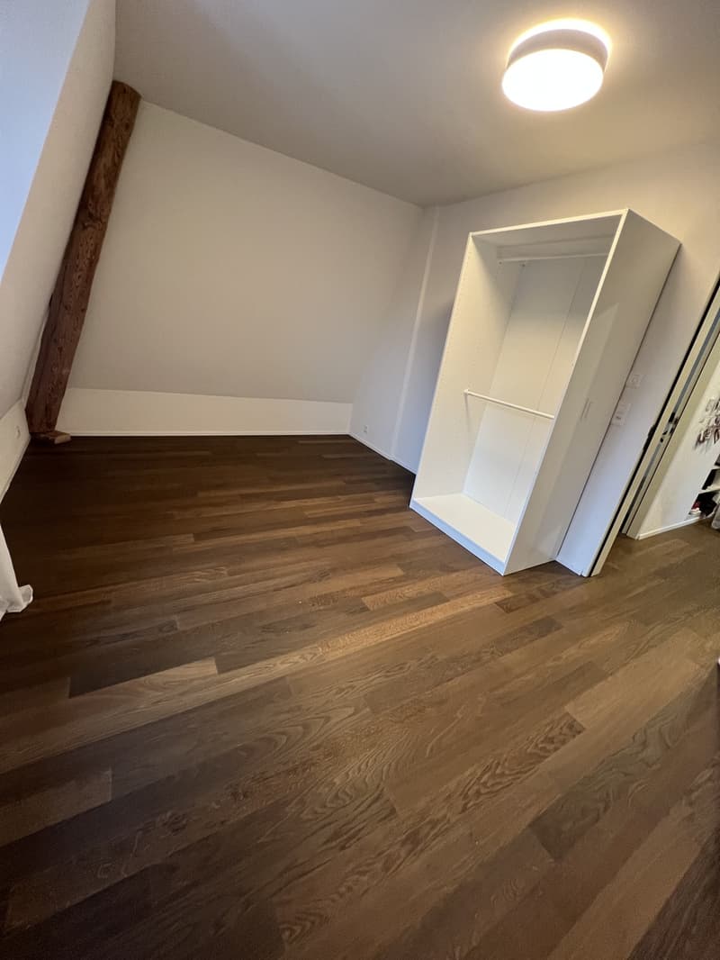 WG-Zimmer in wunderschöner Wohnung im Kreis 6 (2)