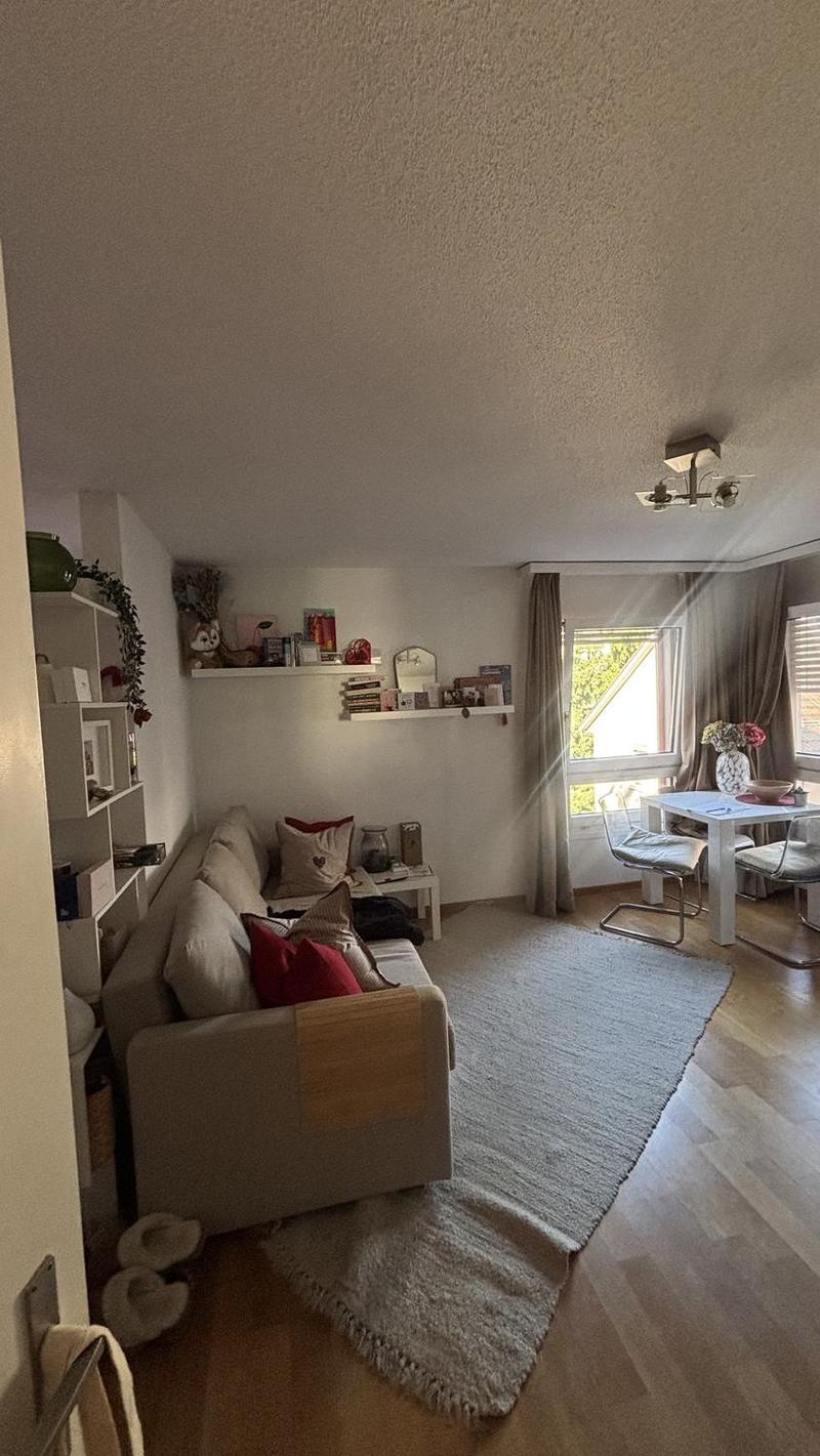 Appartement 1,5 pièces, 8003 Zurich (5)