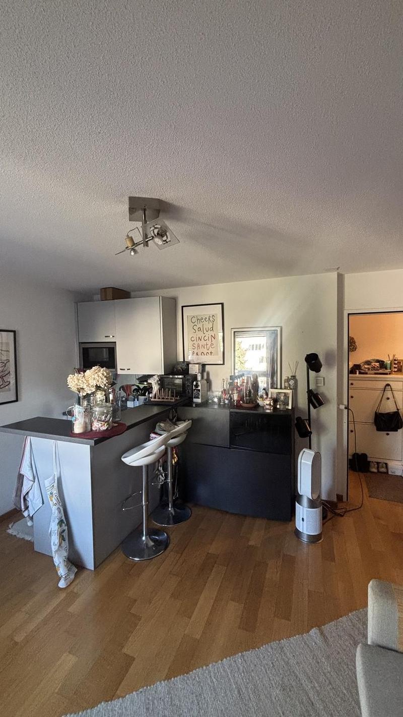 Appartement 1,5 pièces, 8003 Zurich (3)