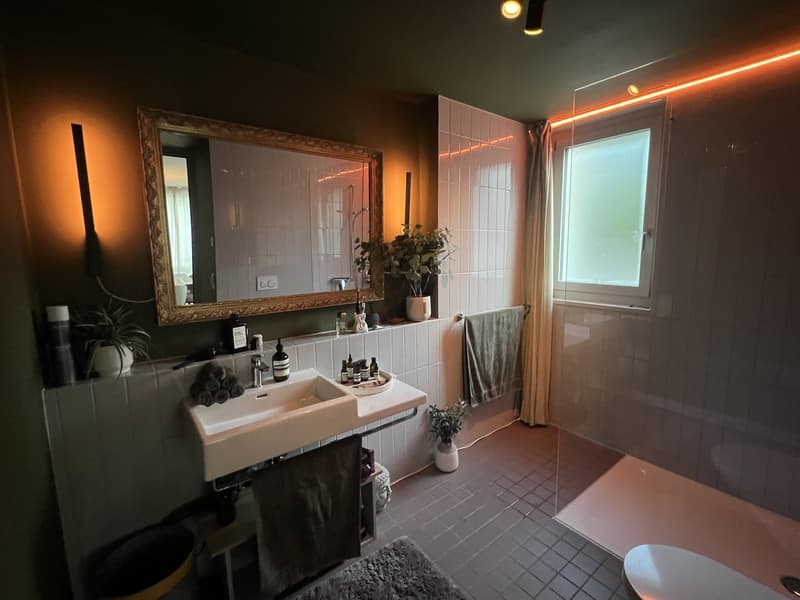 Temporary subletting: Luxurious small apartment (5)