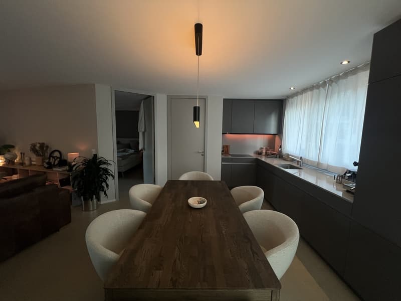 Temporary subletting: Luxurious small apartment (8)
