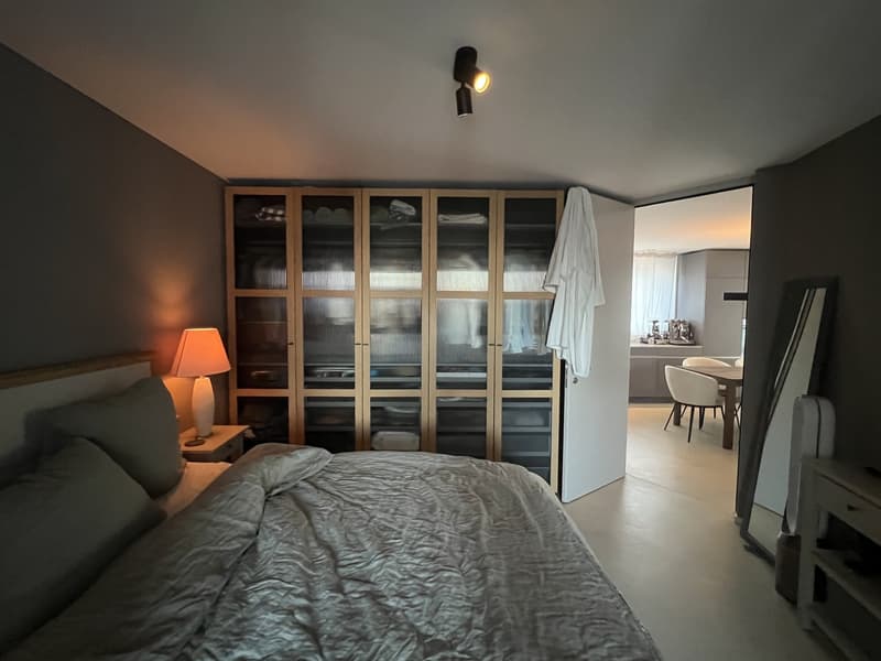 Temporary subletting: Luxurious small apartment (4)