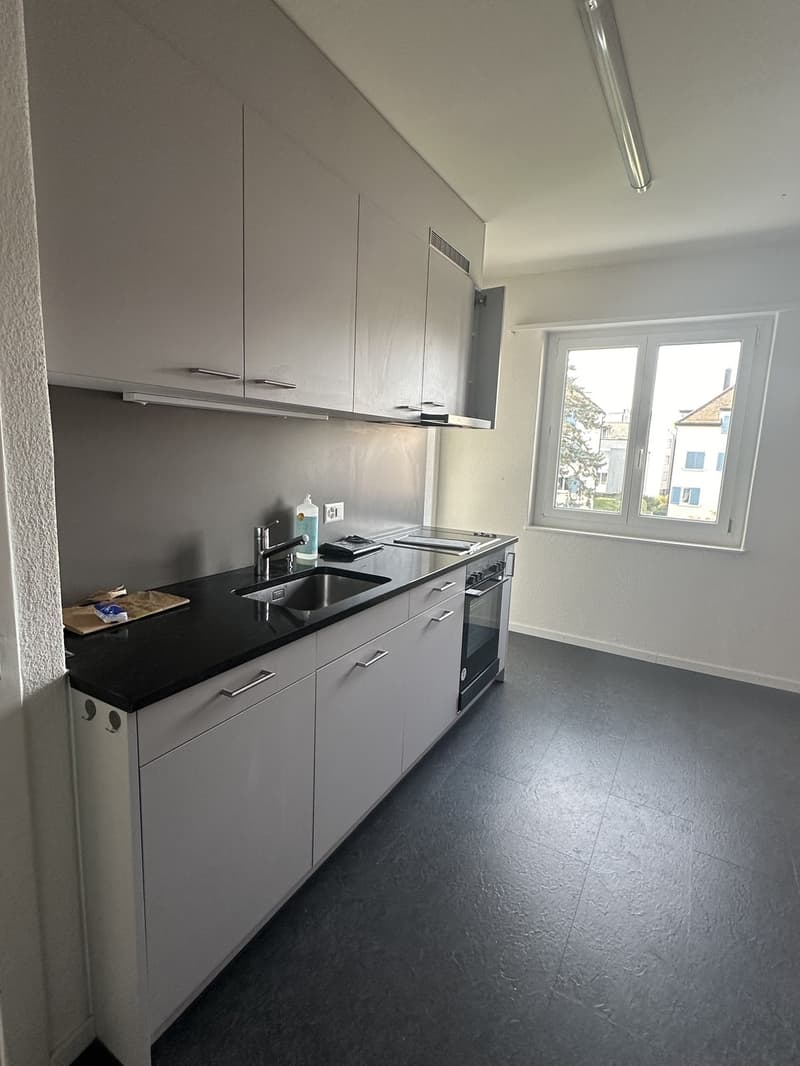 Beautiful 2-room apartment in Altstetten with balcony (6)