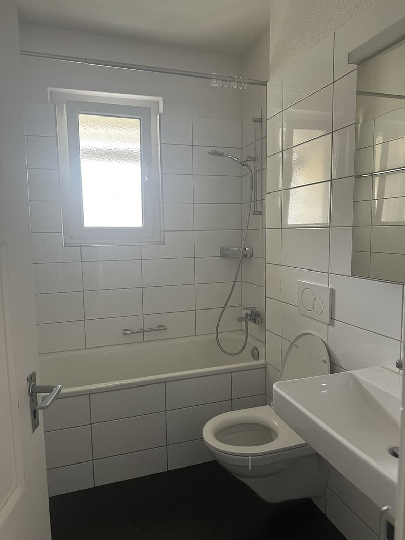 Beautiful 2-room apartment in Altstetten with balcony (4)