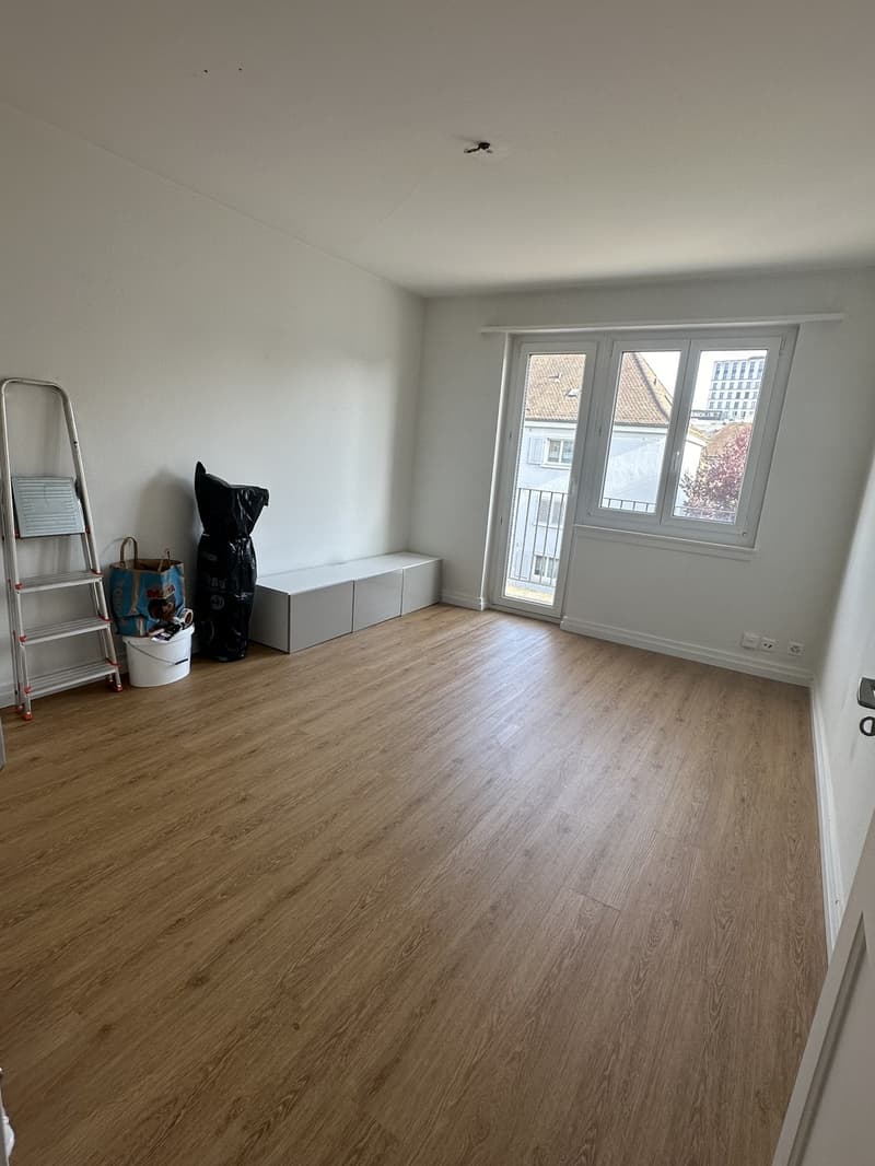 Beautiful 2-room apartment in Altstetten with balcony (3)
