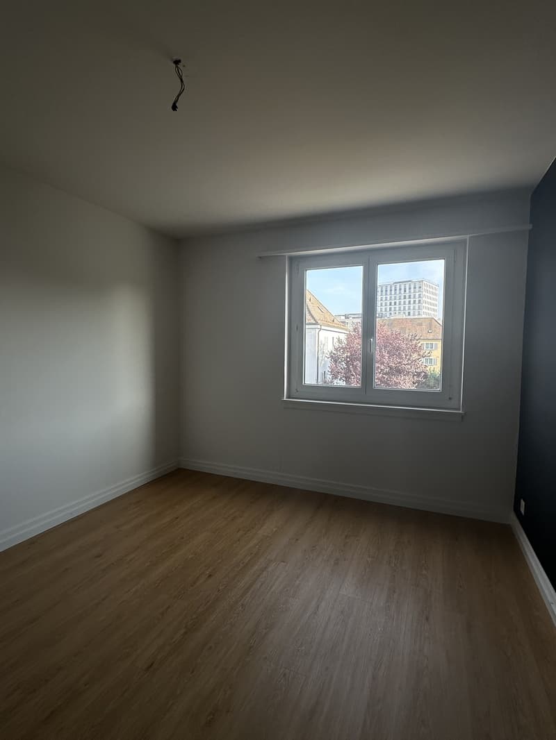 Beautiful 2-room apartment in Altstetten with balcony (2)