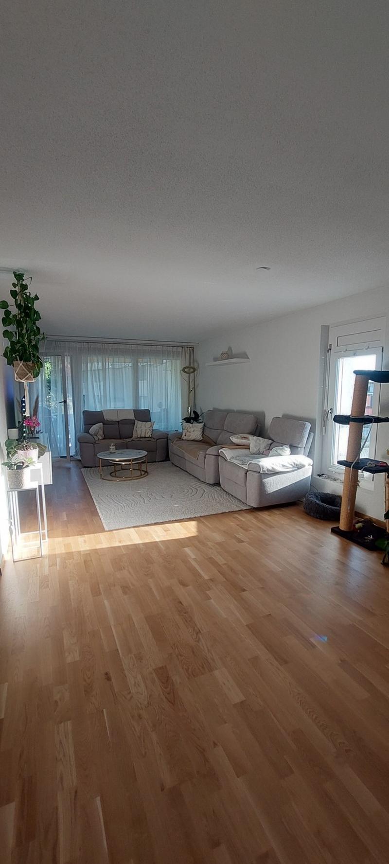 Nachmieter für ruhige und sonnige 3.5 Zimmer Wohnung gesucht (1)