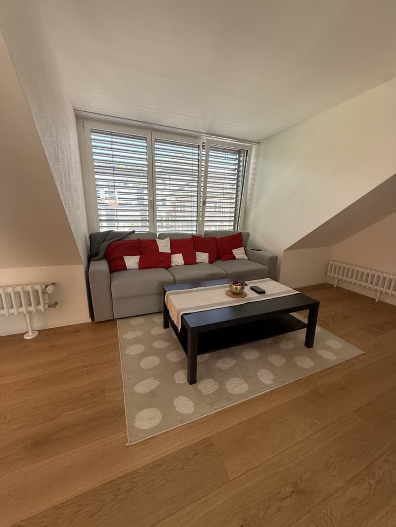 Helles 2.5-Zimmer-Apartment im Herzen von Zürich Oerlikon (13)