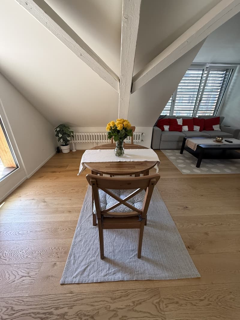 Helles 2.5-Zimmer-Apartment im Herzen von Zürich Oerlikon (6)
