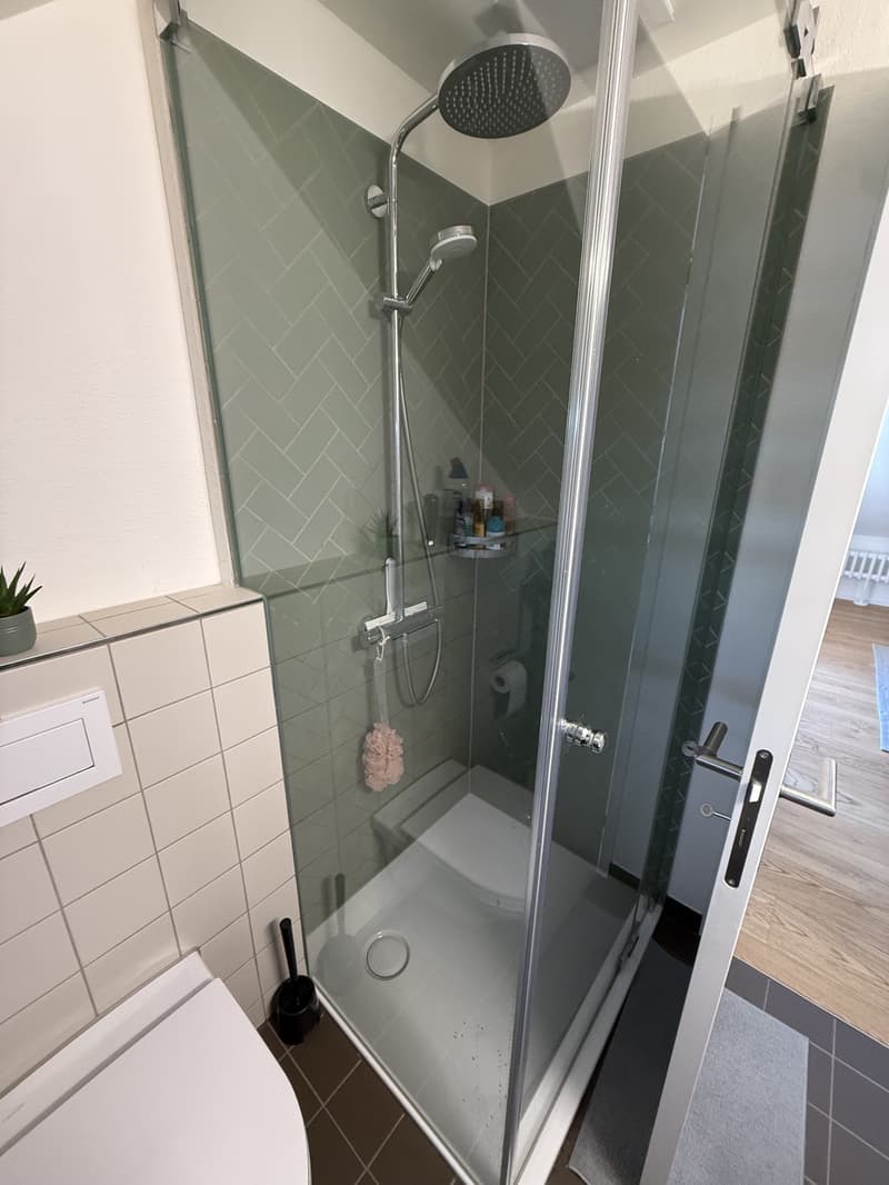 Helles 2.5-Zimmer-Apartment im Herzen von Zürich Oerlikon (5)
