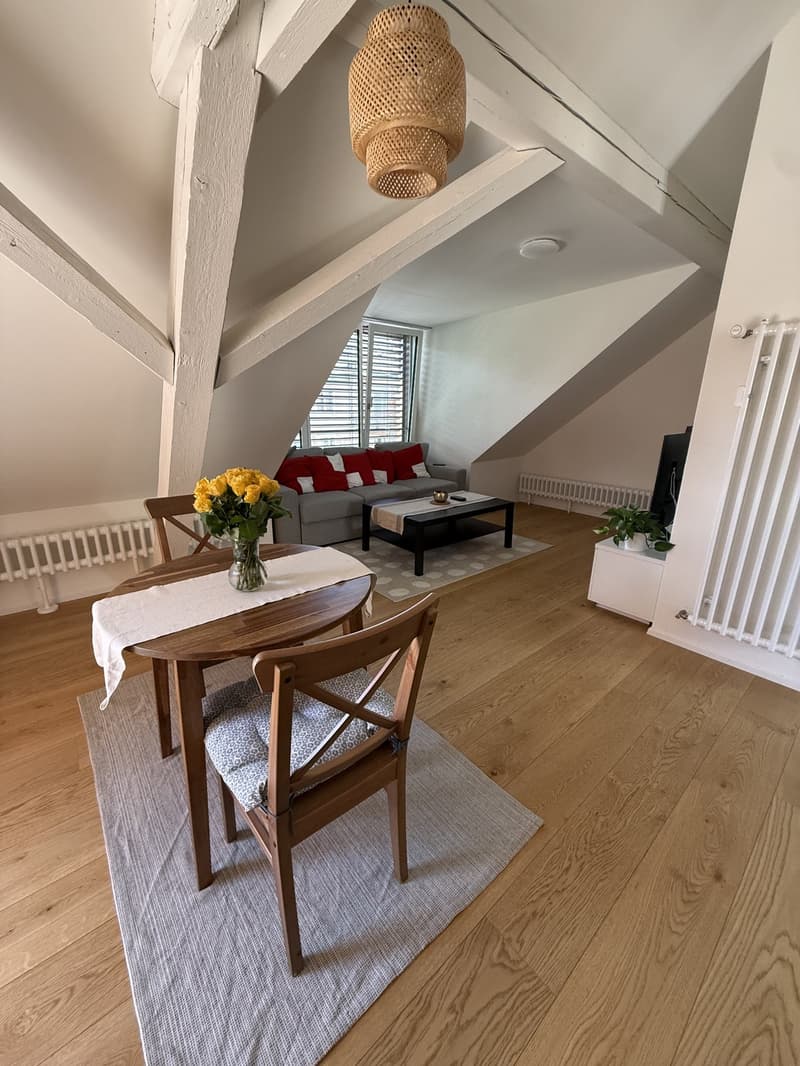 Helles 2.5-Zimmer-Apartment im Herzen von Zürich Oerlikon (4)