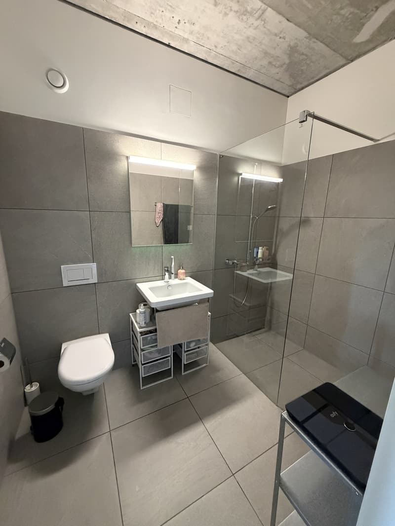 Appartement de rêve meublé, lumineux et moderne (8)