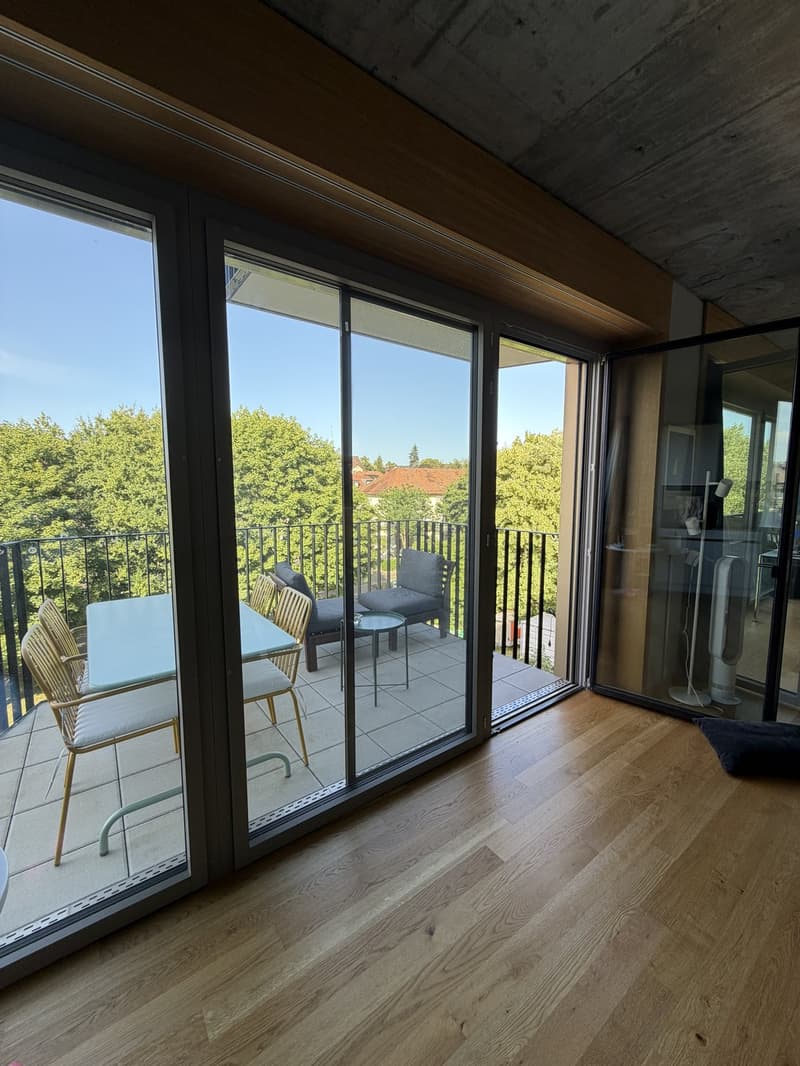 Appartement de rêve meublé, lumineux et moderne (2)