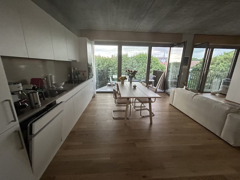 Appartement de rêve meublé, lumineux et moderne (1)