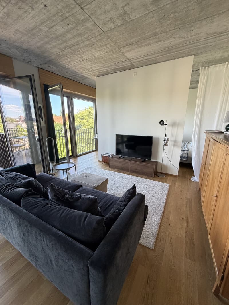 Appartement de rêve meublé, lumineux et moderne (5)