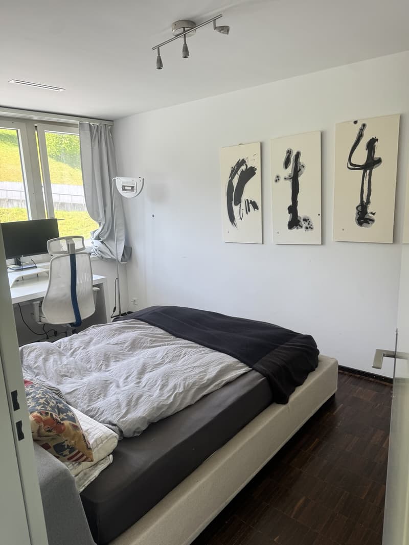 Bright Bedroom with Private Bathroom Lake View Apartment (4)