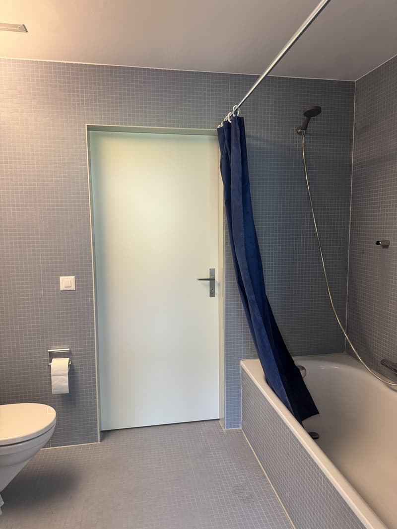 Bright Bedroom with Private Bathroom Lake View Apartment (8)