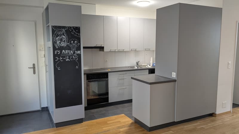 Charmante 3-Zimmer-Terrassenwohnung an der Maihofstrasse in Luzern (7)