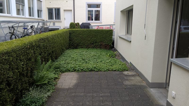 Charmante 3-Zimmer-Terrassenwohnung an der Maihofstrasse in Luzern (5)