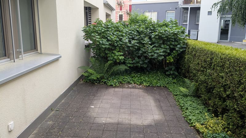 Charmante 3-Zimmer-Terrassenwohnung an der Maihofstrasse in Luzern (6)