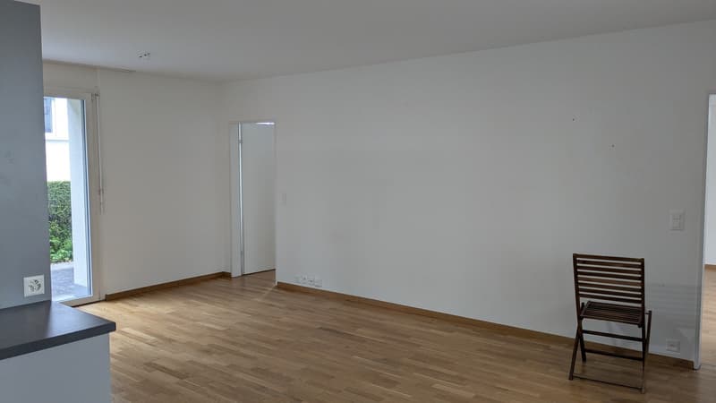 Charmante 3-Zimmer-Terrassenwohnung an der Maihofstrasse in Luzern (1)
