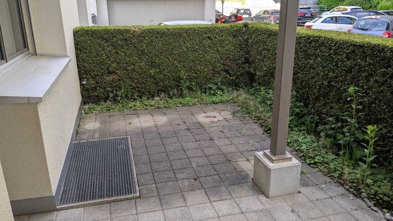 Charmante 3-Zimmer-Terrassenwohnung an der Maihofstrasse in Luzern (4)